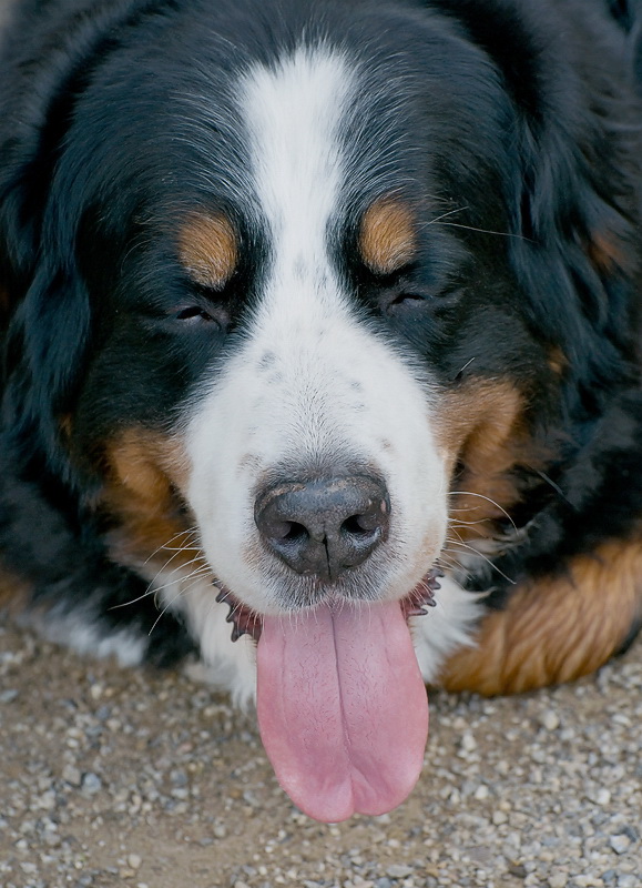 XYZ  Anton Aasee BocholtD35_9223 als Smart-Objekt-1 Kopie.jpg